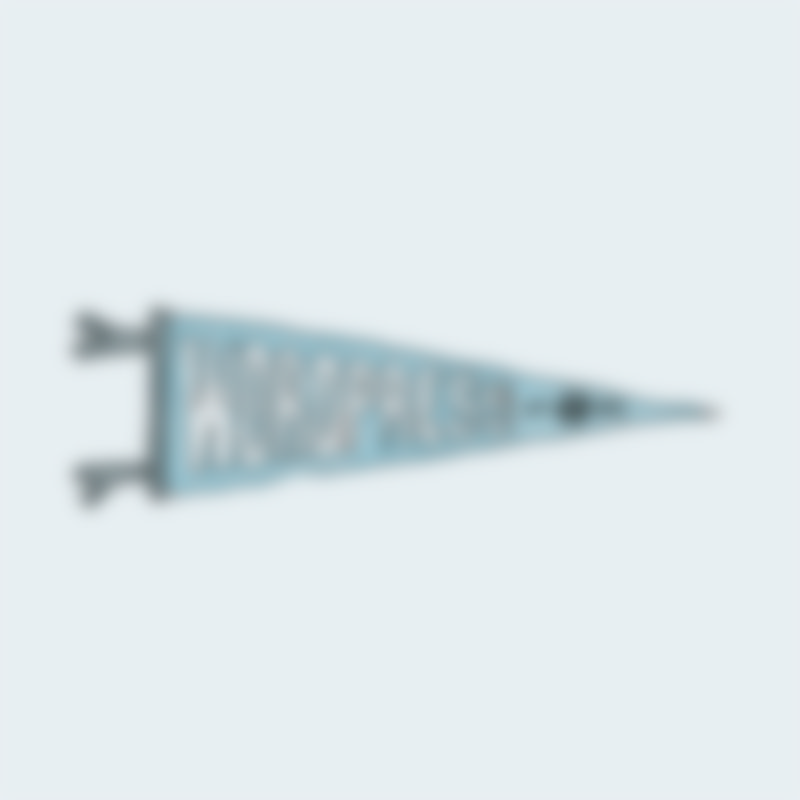pennant.jpg WordPress Pennant